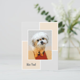 Malshi Hond Mist Je Ansichtkaart Briefkaart