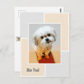 Malshi-hond mist je ansichtkaart briefkaart (Voorkant / Achterkant)