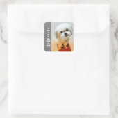 Malshi-hond Vierkante Sticker (Tas)