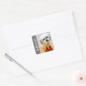 Malshi-hond Vierkante Sticker (Envelop)