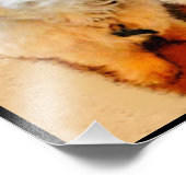 Malshi Kalender 2026 Foto Afdruk (Hoek)