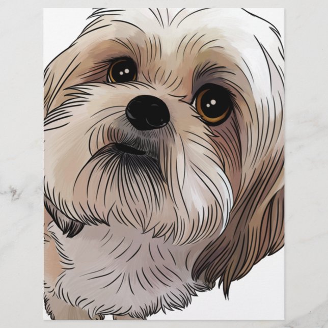 Malshi Mal-shi (Voorkant)