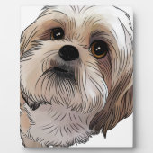 Malshi Mal-shi Fotoplaat (Voorkant)