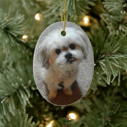Malshi Ovale Kerstbal Keramisch Ornament (Boom)