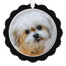 Malshi Paper Ornament Kaart