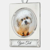 Malshi Silver Tone Christmas Banner Ornament Verzilverd Banner Ornament (Links)