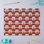 Malshi Tissuepapier (Craft)