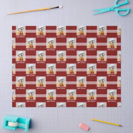 Malshi Tissuepapier (Craft)