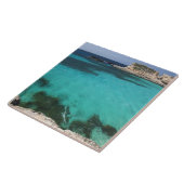Malta, Comino-eiland, The Blue Lagoon Tegeltje (Zijkant)