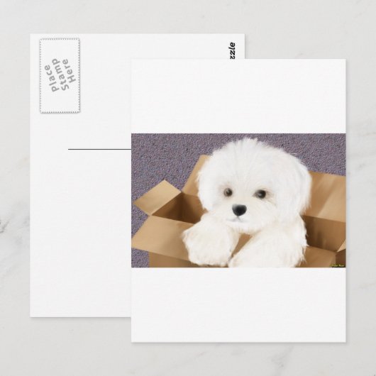 malta in een doos briefkaart (Voorkant / Achterkant)