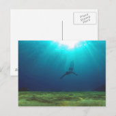 Malta Snorkeling Briefkaart (Voorkant / Achterkant)