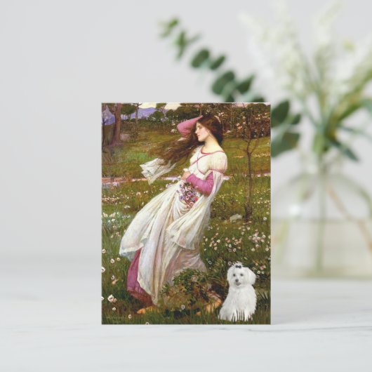 MALTEES 10 - Windflowers Briefkaart (Staand voorkant)