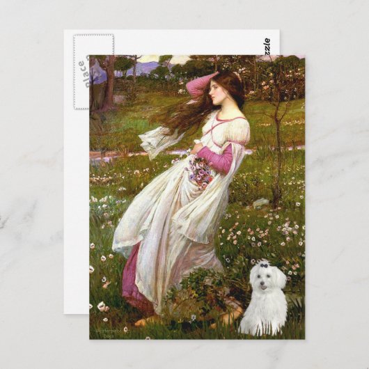 MALTEES 10 - Windflowers Briefkaart (Voorkant / Achterkant)