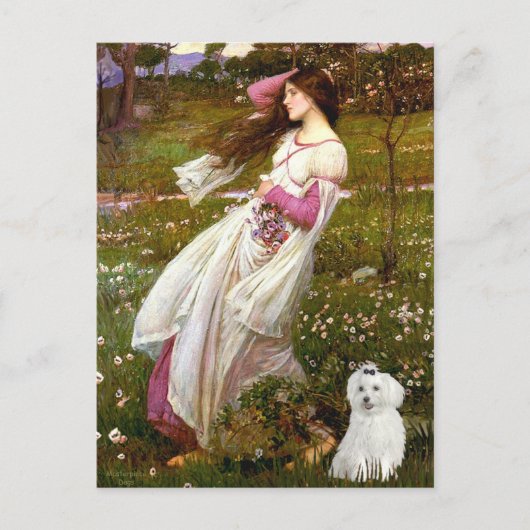 MALTEES 10 - Windflowers Briefkaart (Voorkant)