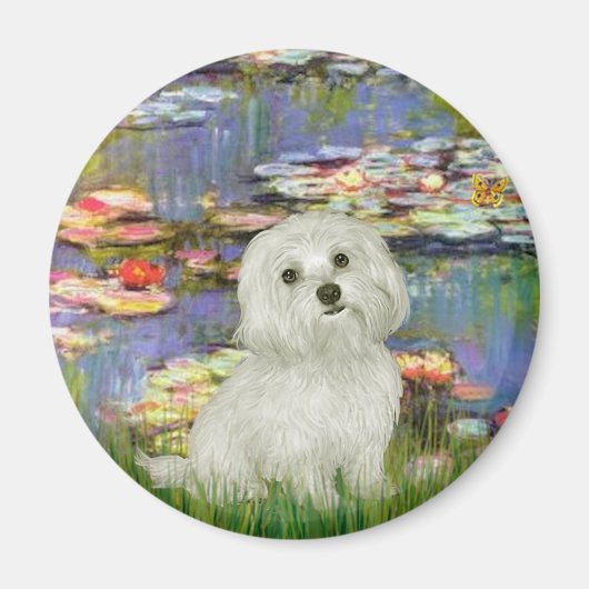 Maltees 11 - Lelies 2 Magneet (Voorkant)