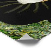 Maltees 11 - Mona Lisa Poster (Hoek)