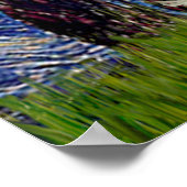 Maltees 11 - Sterrennacht Poster (Hoek)