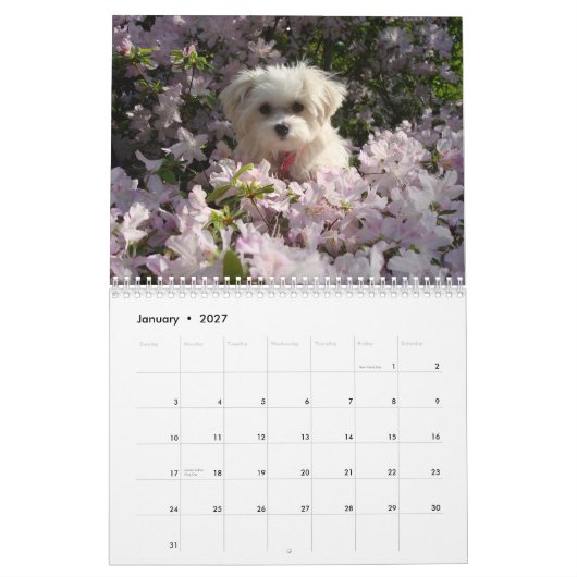 Maltees 2010 kalender (Jan 2027)