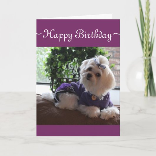 Maltees 2 kaart (Voorkant)