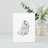 Maltees (A) - met top inkeping Briefkaart (Staand voorkant)