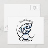 Maltees alles over mij briefkaart (Voorkant / Achterkant)