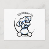 Maltees alles over mij briefkaart (Voorkant)