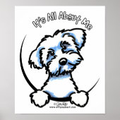 Maltees alles over mij poster (Voorkant)