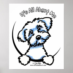 Maltees alles over mij poster