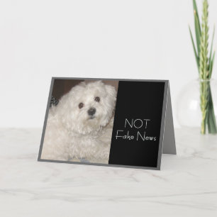 Maltees Birthday Humor voor iedereen Kaart