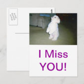 Maltees Briefkaart (Voorkant / Achterkant)