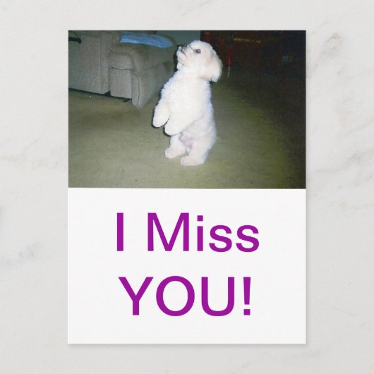 Maltees Briefkaart (Voorkant)