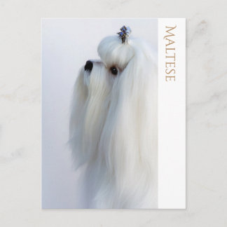 Maltees Briefkaart