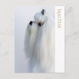 Maltees Briefkaart