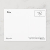 Maltees Briefkaart (Achterkant)