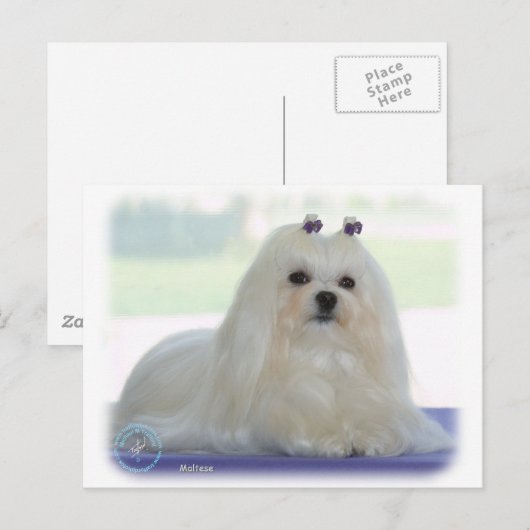 Maltees Briefkaart (Voorkant / Achterkant)