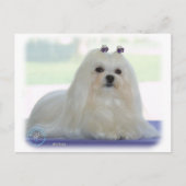 Maltees Briefkaart (Voorkant)