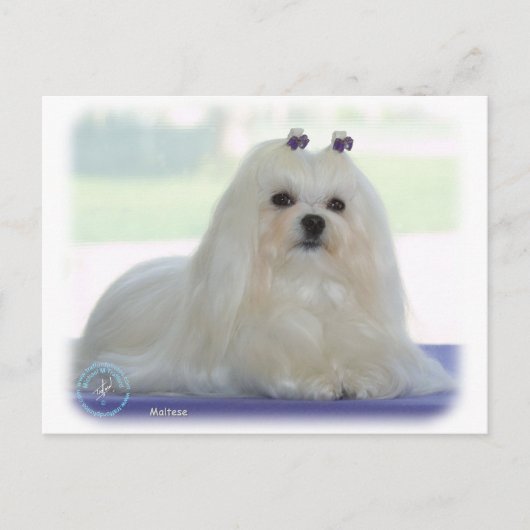 Maltees Briefkaart (Voorkant)