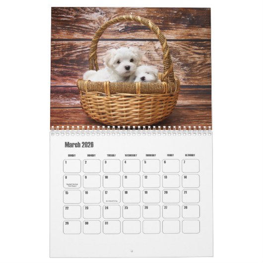 Maltees Calendar Kalender (Mar 2026)