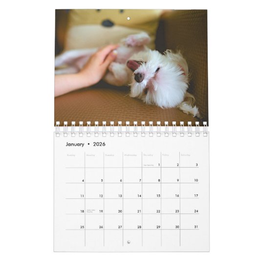 Maltees Calendar Kalender (Jan 2026)