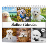 Maltees Calendar Kalender (Hoes)