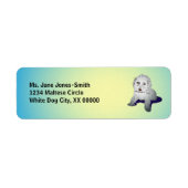 Maltees Cute Puppy Etiket (Voorkant)