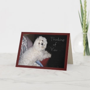 Maltees denken aan je liefdeskaart voor iedereen kaart