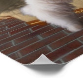 Maltees devies over de speelstoel Dog Art Poster (Hoek)