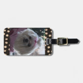 Maltees Dog Bagagelabel (Voorkant horizontaal)