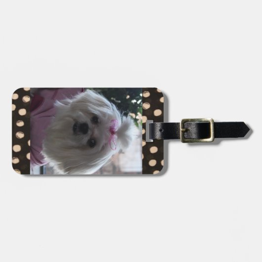 Maltees Dog Bagagelabel (Voorkant horizontaal)
