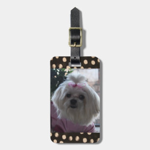 Maltees Dog Bagagelabel