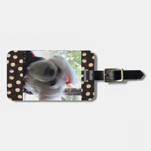 Maltees Dog Bagagelabel (Voorkant horizontaal)