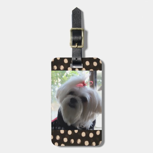 Maltees Dog Bagagelabel (Voorkant verticaal)