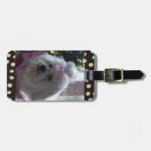 Maltees Dog Bagagelabel (Voorkant horizontaal)