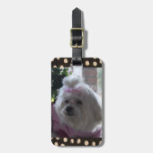 Maltees Dog Bagagelabel (Voorkant verticaal)